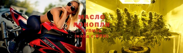 молекула духа Переславль-Залесский