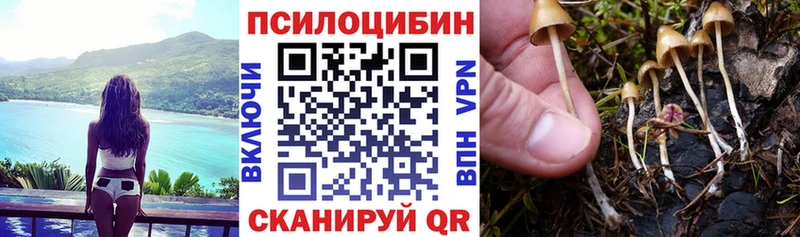 Галлюциногенные грибы GOLDEN TEACHER  сколько стоит  Белореченск 